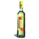 Vinho Branco Regional Tejo Leve product image