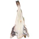 Imagem do produto Bacalhau Crescido Inteiro Salgado Seco (Entre 1 a 2 kg e enviado com Corte para Lombos)
