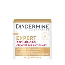 Imagem do produto Creme Anti Rugas Expert 3D Dia