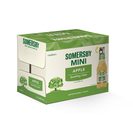 Imagem do produto Sidra com Álcool Maçã