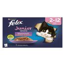 Imagem do produto Alimento Húmido Para Gato Fantastic Junior