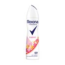 Imagem do produto Desodorizante Spray Tropical