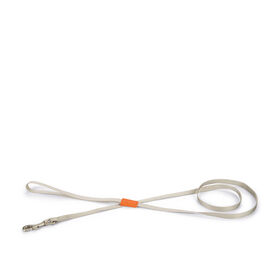 Trela para Cão Cinza Claro Nylon 120 cm x 20 mm product image