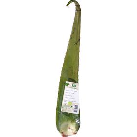 Aloé Vera Biológico product image