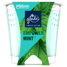 Imagem do produto Ambientador Vela Mint