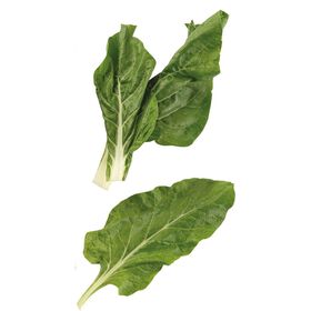 Imagem do produto Acelga