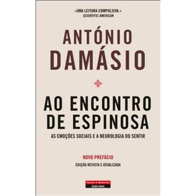 Imagem do produto Ao Encontro de Espinosa