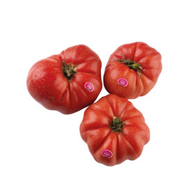 Imagem do produto Tomate Rosa Bravo