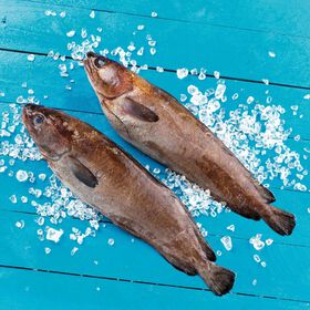 Abrótea Fresca product image