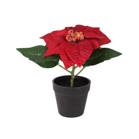 Vaso Poinsétia Vermelha 16,5cm product image