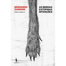 As Minhas Estúpidas Intenções product image