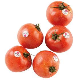 Imagem do produto Tomate Rosa