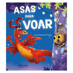 Asas para Voar product image
