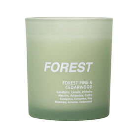 Imagem do produto Vela em Copo 206g Verde Forest