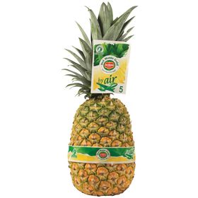 Imagem do produto Abacaxi Via Aerea Inteira