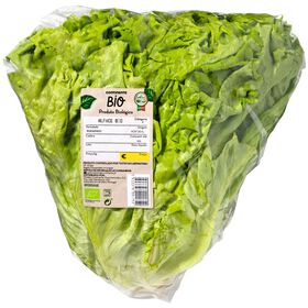 Imagem do produto Alface Frisada Biológica