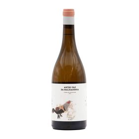 Imagem do produto Antão Vaz da Peceguina Alentejo Vinho Branco