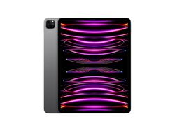 Imagem do produto apple ipad pro m2 12.9"wifi 256gb space grey mnxr3ty/a