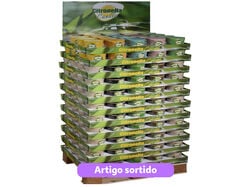 Imagem do produto vela em vaso eco citronela 160gr cores sortidas