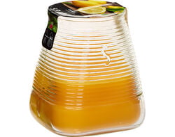 Imagem do produto vela garden light citronela glass