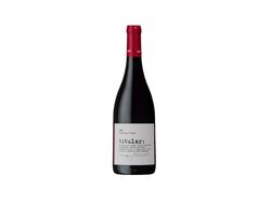 Imagem do produto vinho tinto titular dão 0.75l