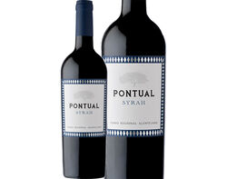 Imagem do produto vinho tinto pontual syrah alentejo 0.75l