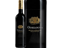 Imagem do produto vinho tinto odelouca algarve 0.75l