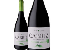 Imagem do produto vinho cabriz tinto dão biológico 750ml