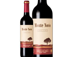 Imagem do produto vinho tinto monte novo 0.75l