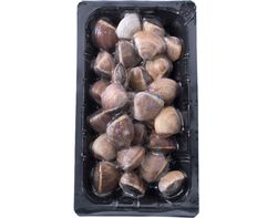 Imagem do produto ameijoa vietnamita castanha grande ultracongelada 500g