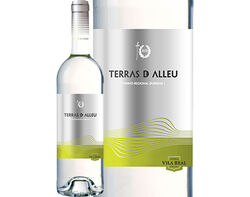 Imagem do produto vinho branco terras de alleu 0.75l