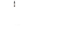 Imagem do produto vinagre balsâmico carandini laranja 250ml