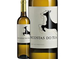 Imagem do produto vinho branco encostas do tua douro 0.75l