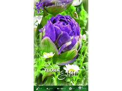 Imagem do produto tulipa dobrada elite lilas calibre 11/12 5 unidades