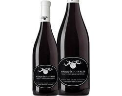 Imagem do produto vinho tinto diálogo touriga algarve 0.75l