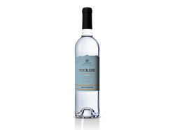 Imagem do produto vinho branco montalegre superior trás os montes 0.75l