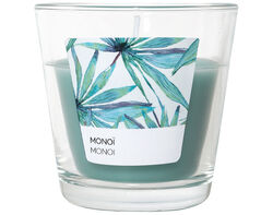 Imagem do produto vela perfumada c/copo actuel monoï tam s