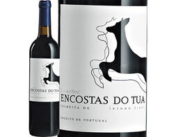 Imagem do produto vinho tinto encostas do tua douro 0.75l
