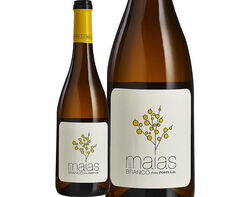 Imagem do produto vinho quinta das maias branco bio dão 0.75l