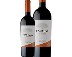 Imagem do produto vinho tinto pontual alentejo 0.75 lt