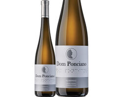 Imagem do produto vinho branco dom ponciano alvarinho vinho verde 0.75l