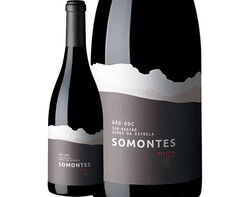 Imagem do produto vinho tinto somontes reserva dão 0.75l