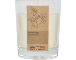 Imagem do produto vela natural perfumada com copo actuel eucalipto 10cm