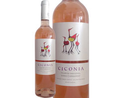 Imagem do produto vinho rosé ciconia alentejo 0.75l