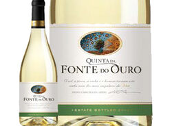 Imagem do produto vinho quinta fonte douro 0.75l