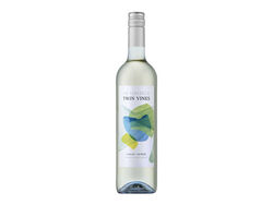 Imagem do produto vinho branco twin vines vinhos verdes 0.75l