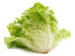 Imagem do produto alface frisada verde bio embalada kg