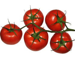 Imagem do produto tomate rama bio kg