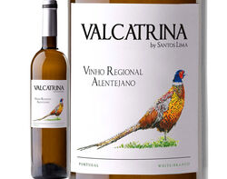 Imagem do produto vinho branco valcatrina alentejo 0.75l