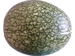 Imagem do produto abóbora gila kg